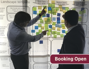 Roadmapping for strategy and innovation: in-person course