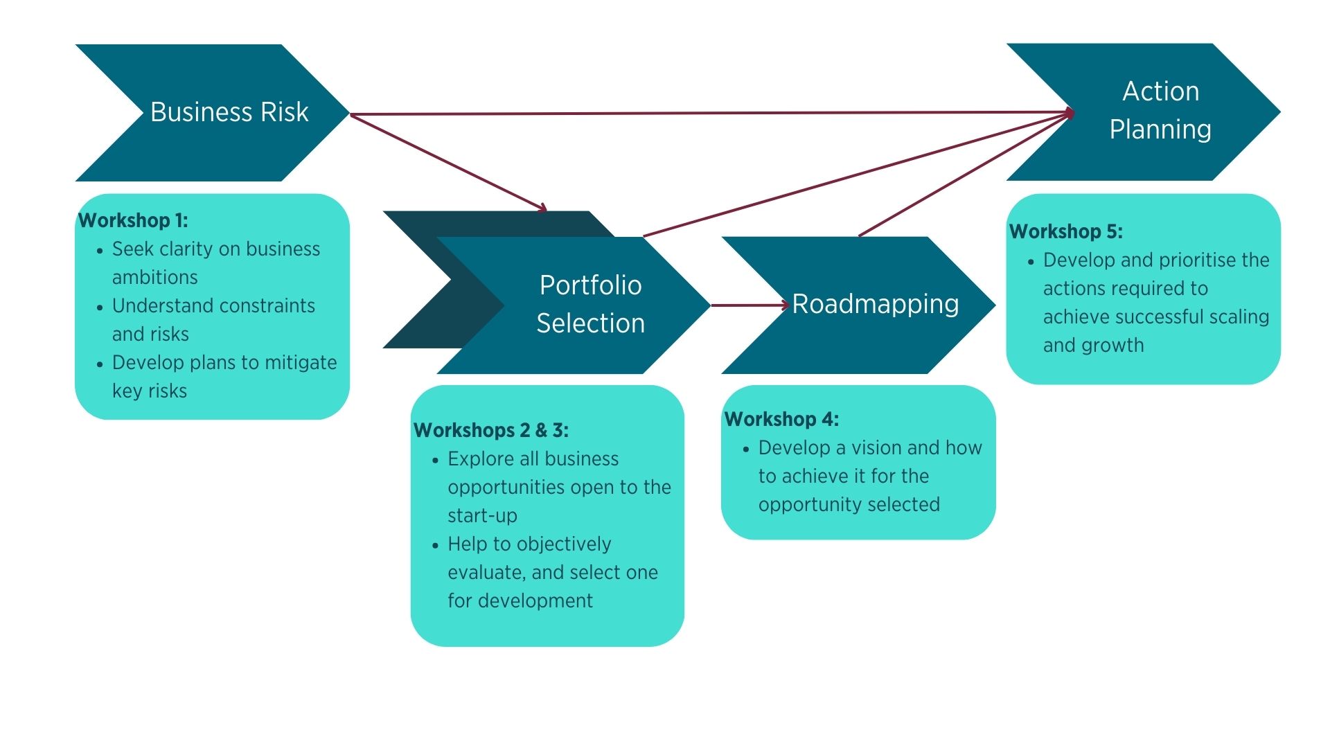 Strategic Compass workshops logic map